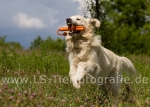 06 Balu
